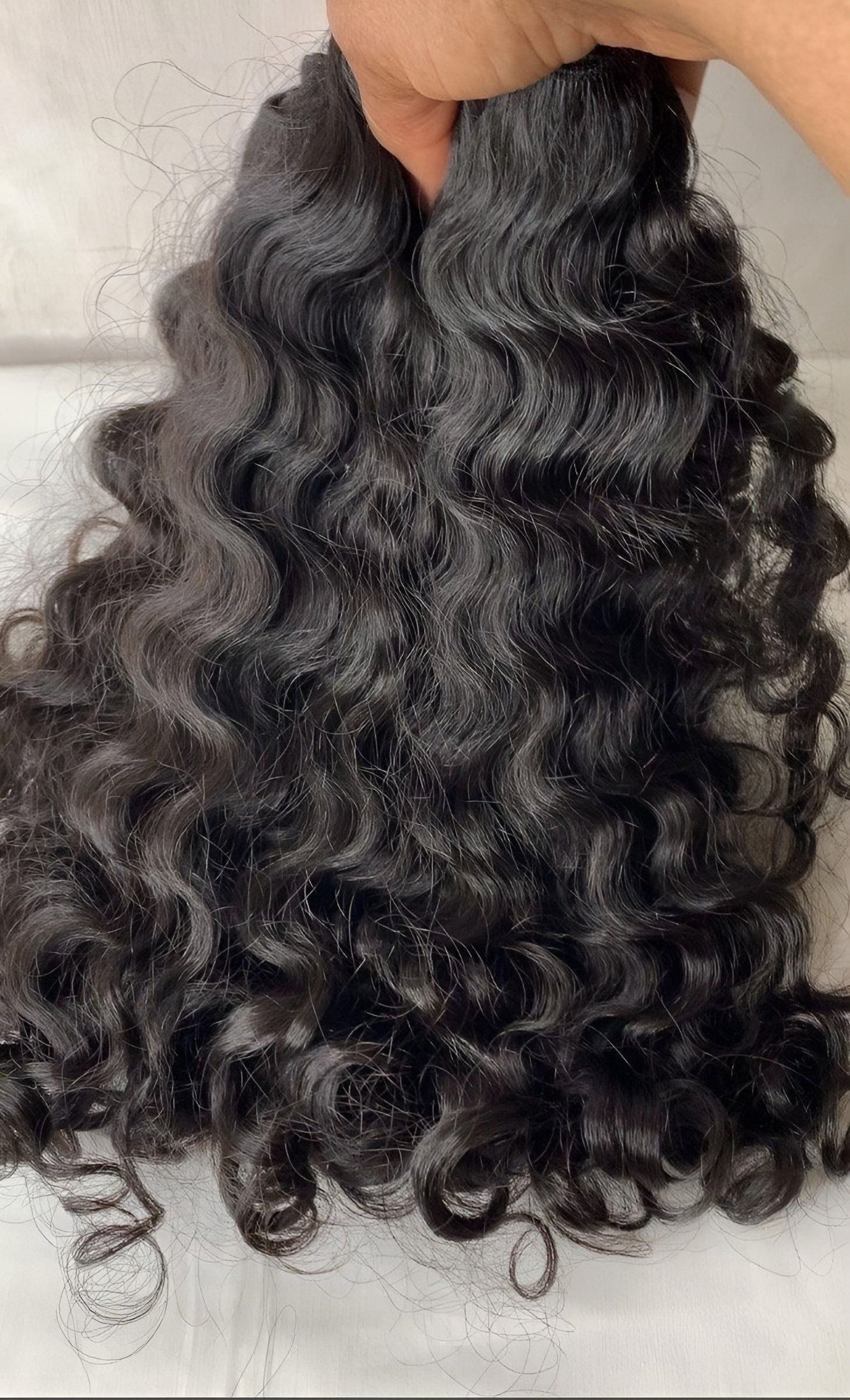 Burmese Curly | Single Bundle